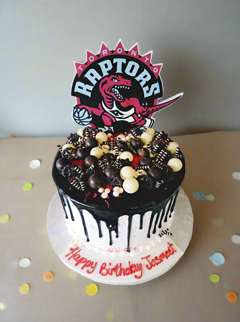 Jasmeet Raptors Cake - Image 3