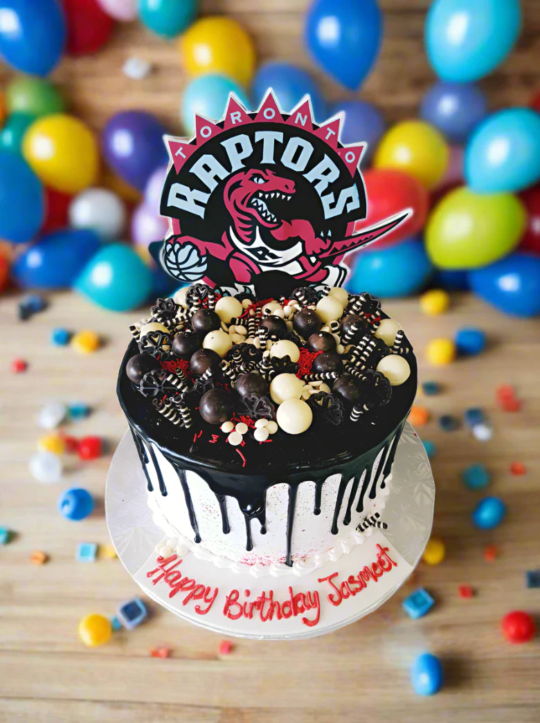 Jasmeet Raptors Cake - Image 4