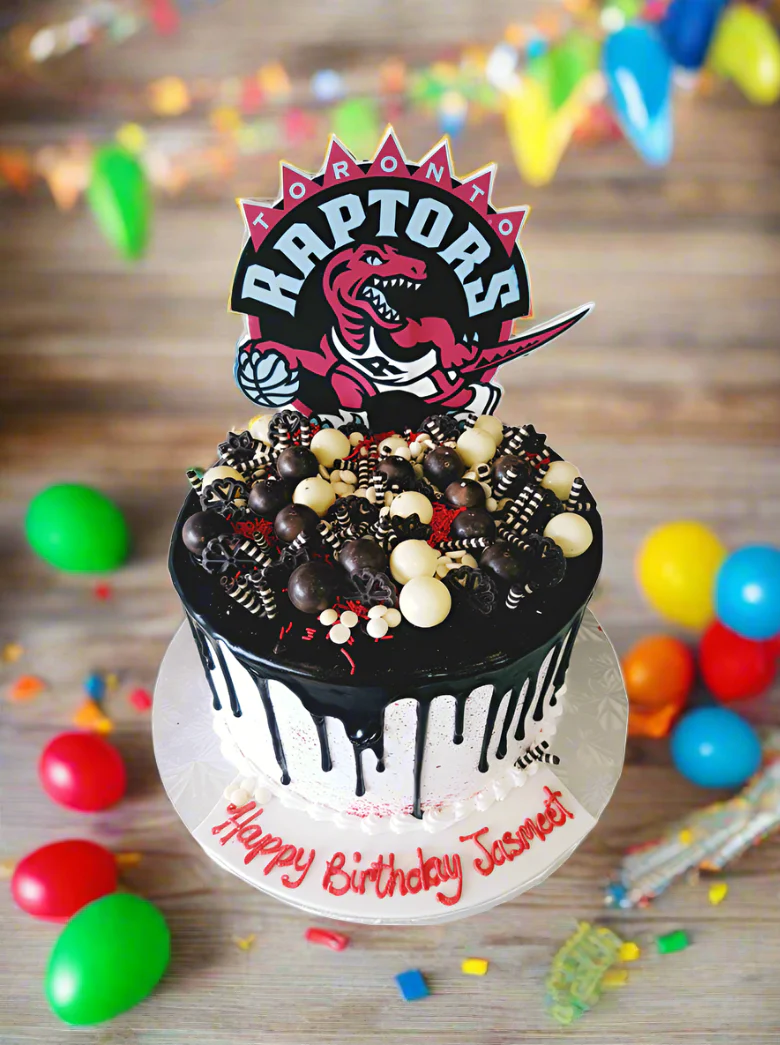 Jasmeet Raptors Cake - Image 5
