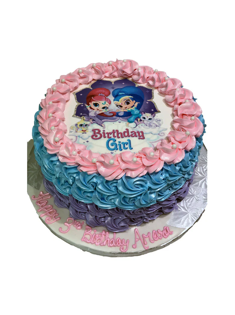 Shimmer & Shine Rosette Photo Cake - Image 5